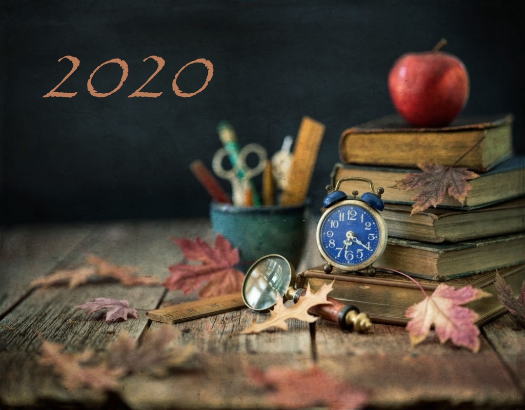 Visszatekintő: Mi történt a szakképzésben, felnőttképzésben 2020-ban?