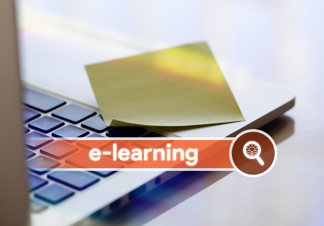 Digitális kompetencia fejlesztés: e-learning tartalmakkal bővültek Excel képzéseink